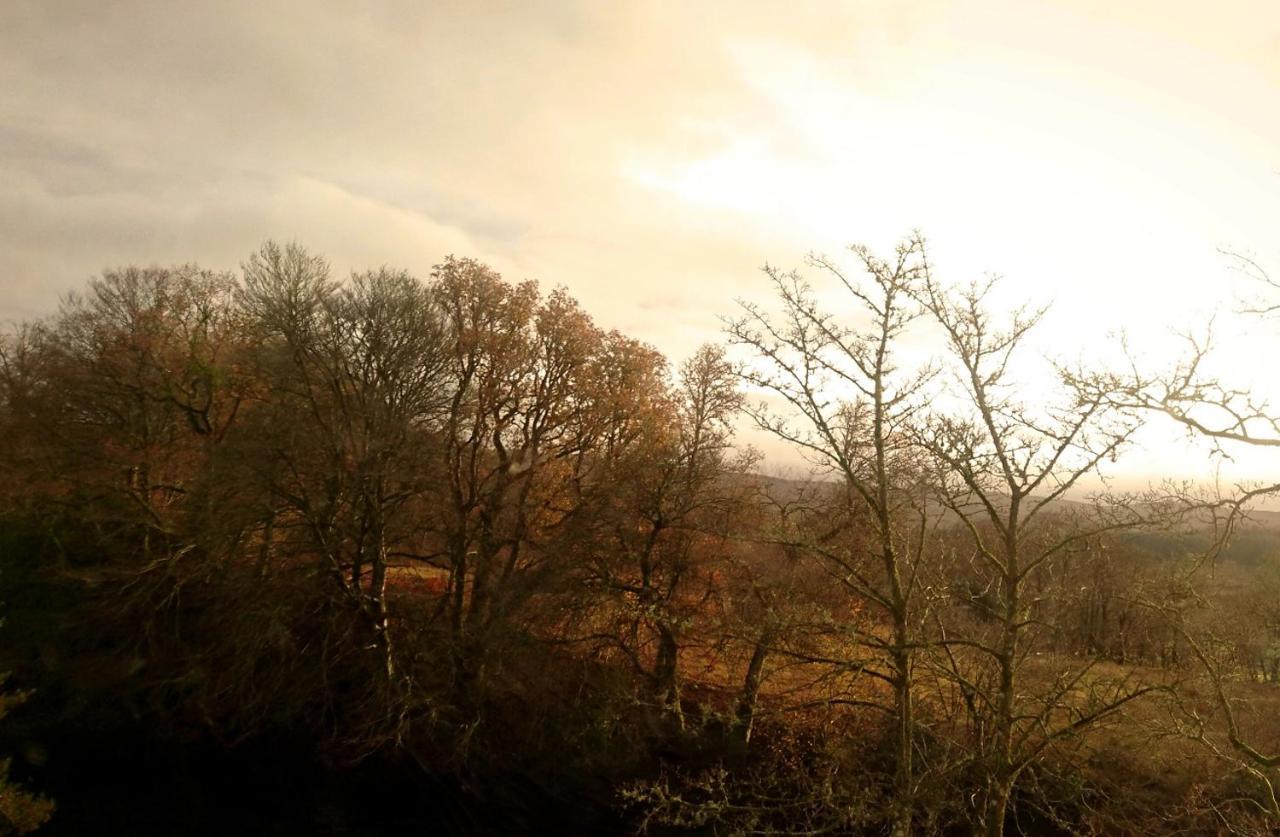Orchy Bank House Bed & Breakfast Dalmally Eksteriør bilde